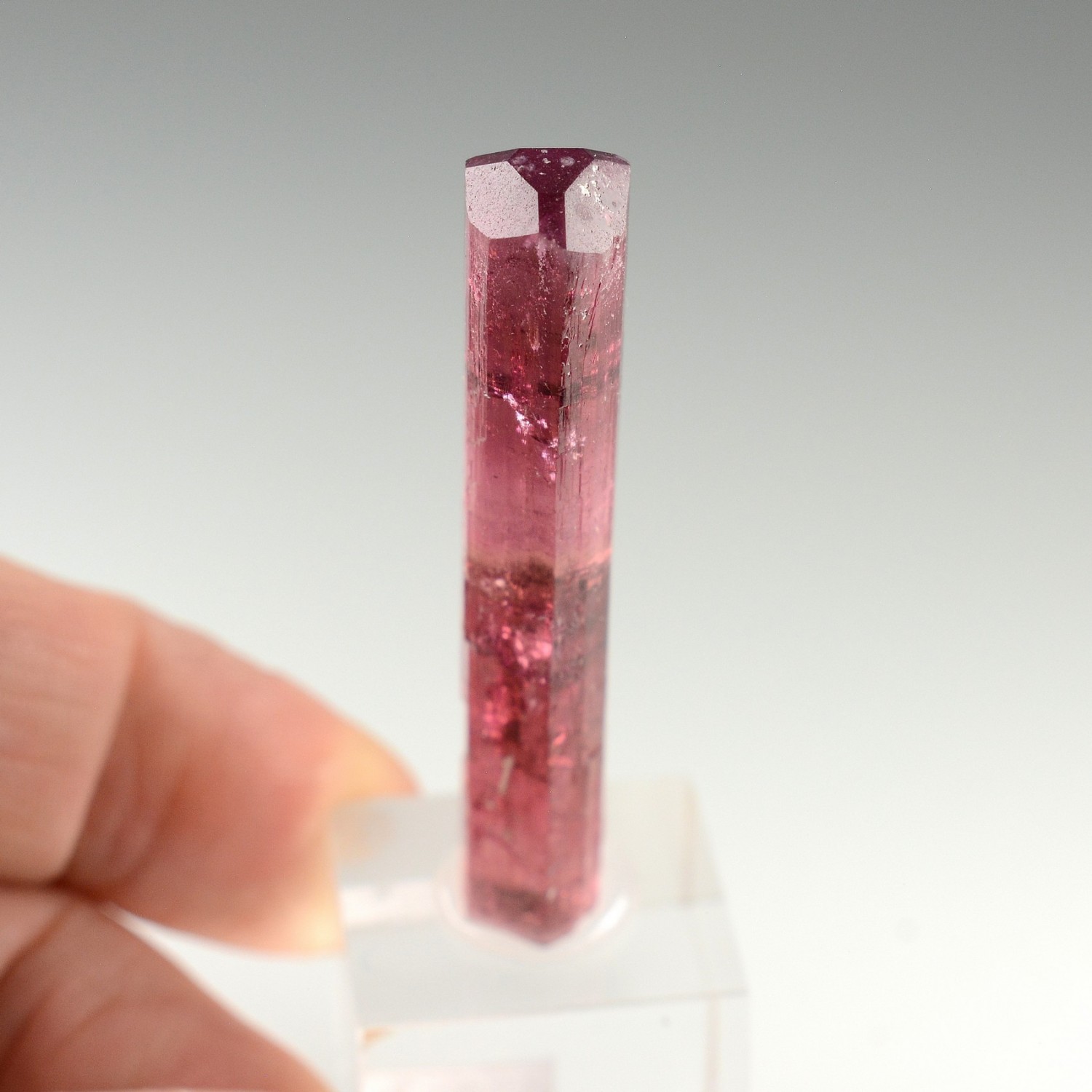 Tourmaline rubellite - Pegmatite de Sosedka, Transbaïkalie, District fédéral extrême-oriental, Russie