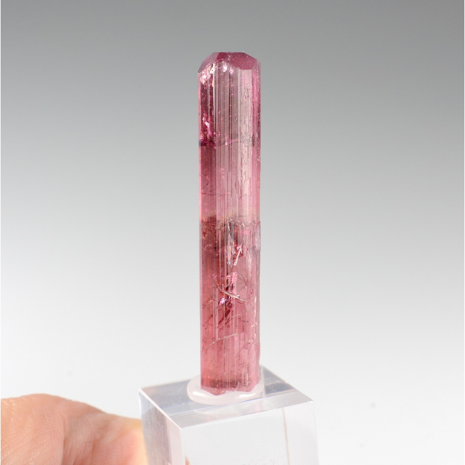 Tourmaline rubellite - Pegmatite de Sosedka, Transbaïkalie, District fédéral extrême-oriental, Russie