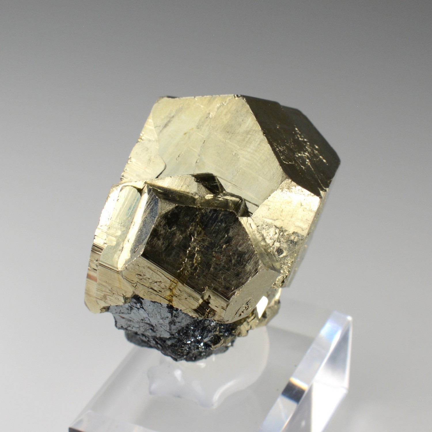 Pyrite et hématite - Rio Marina, Île d'Elbe, Italie