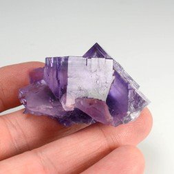 Fluorine - Berbès, Asturies, Espagne