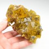 Fluorine et chalcopyrite - Mine Bergmännisch Glück, Saxe,Allemagne