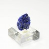 Azurite - Chessy, Rhône, France