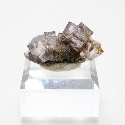 Fluorine - Bergheim, Haut-Rhin, France