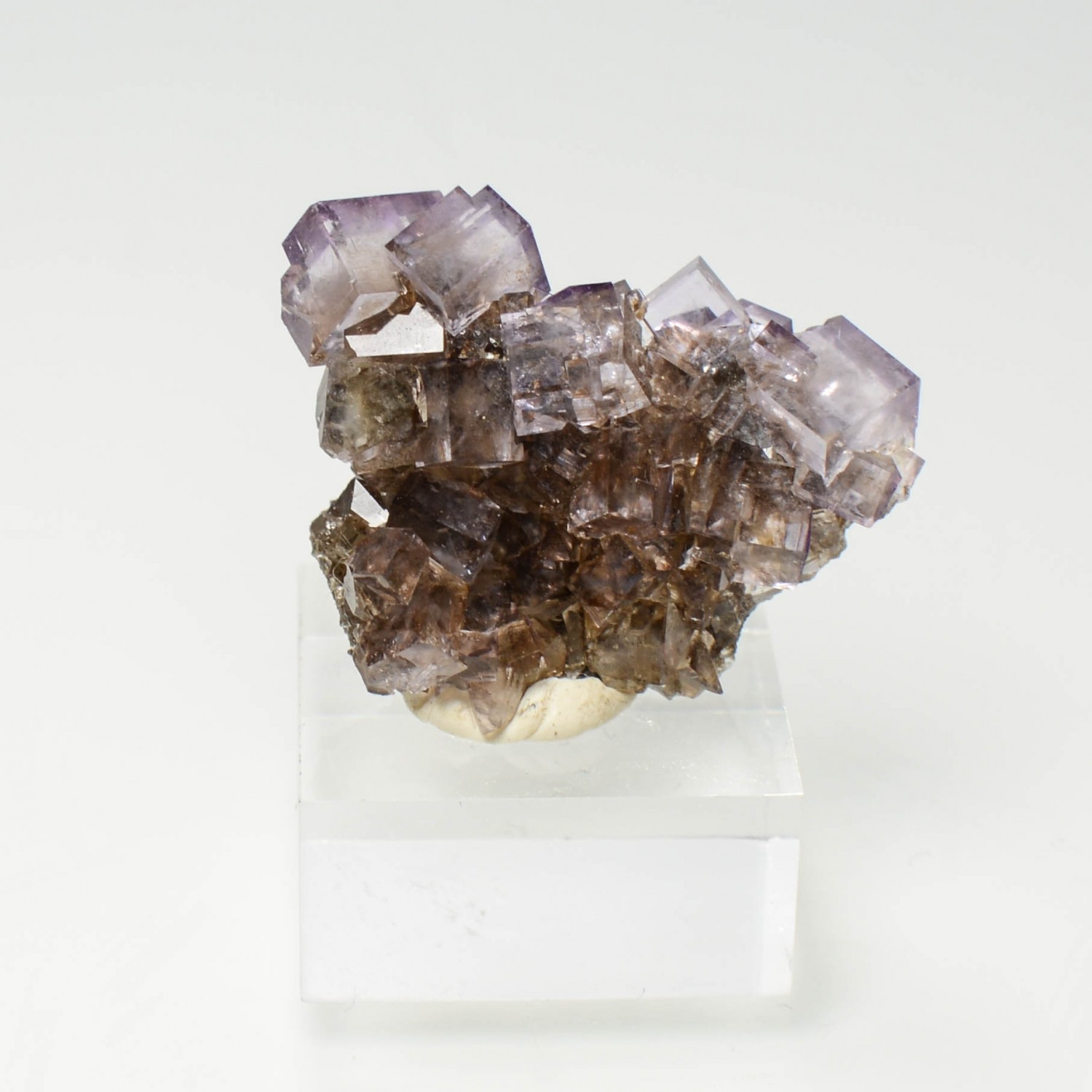 Fluorite - Bergheim, Haut-Rhin, France