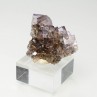 Fluorite - Bergheim, Haut-Rhin, France