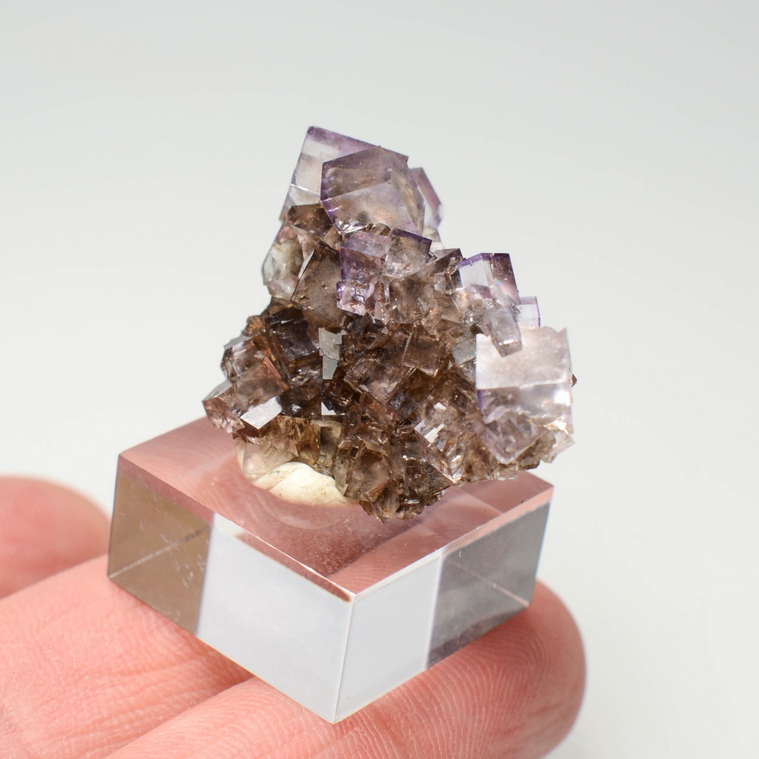 Fluorite - Bergheim, Haut-Rhin, France