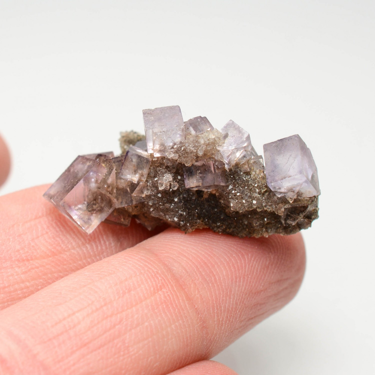 Fluorite - Bergheim, Haut-Rhin, France