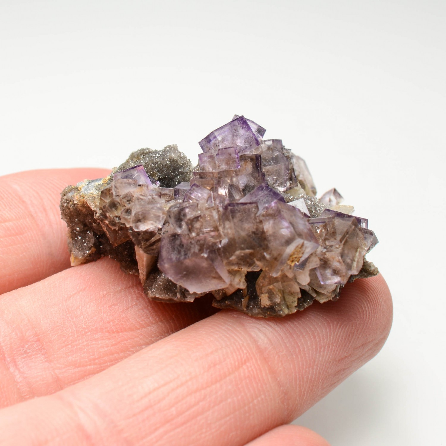 Fluorite - Bergheim, Haut-Rhin, France