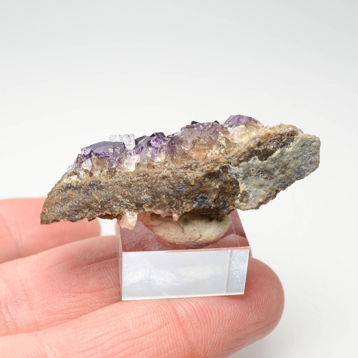 Fluorite - Bergheim, Haut-Rhin, France