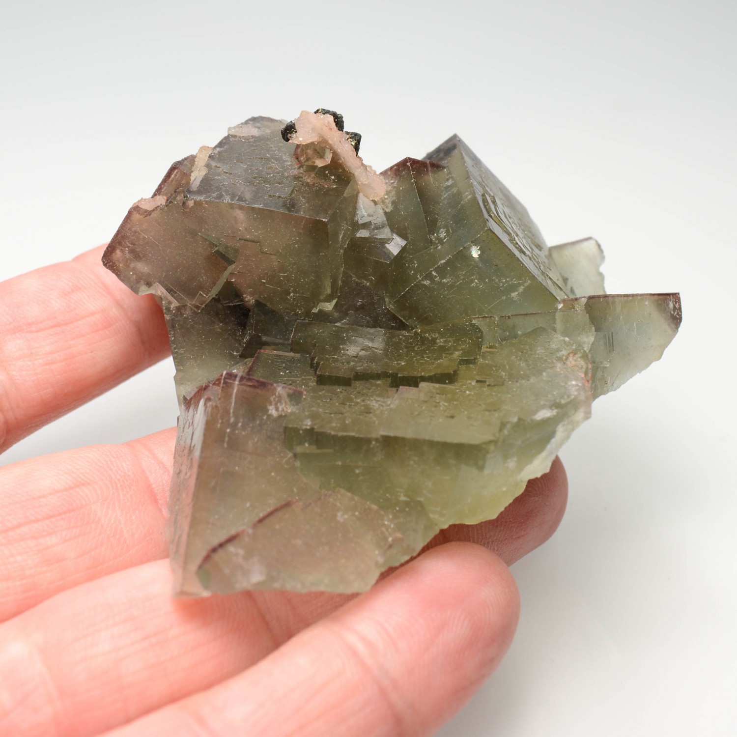 Fluorite - Niederschlag mine, Niederschlag, Saxony, Germany