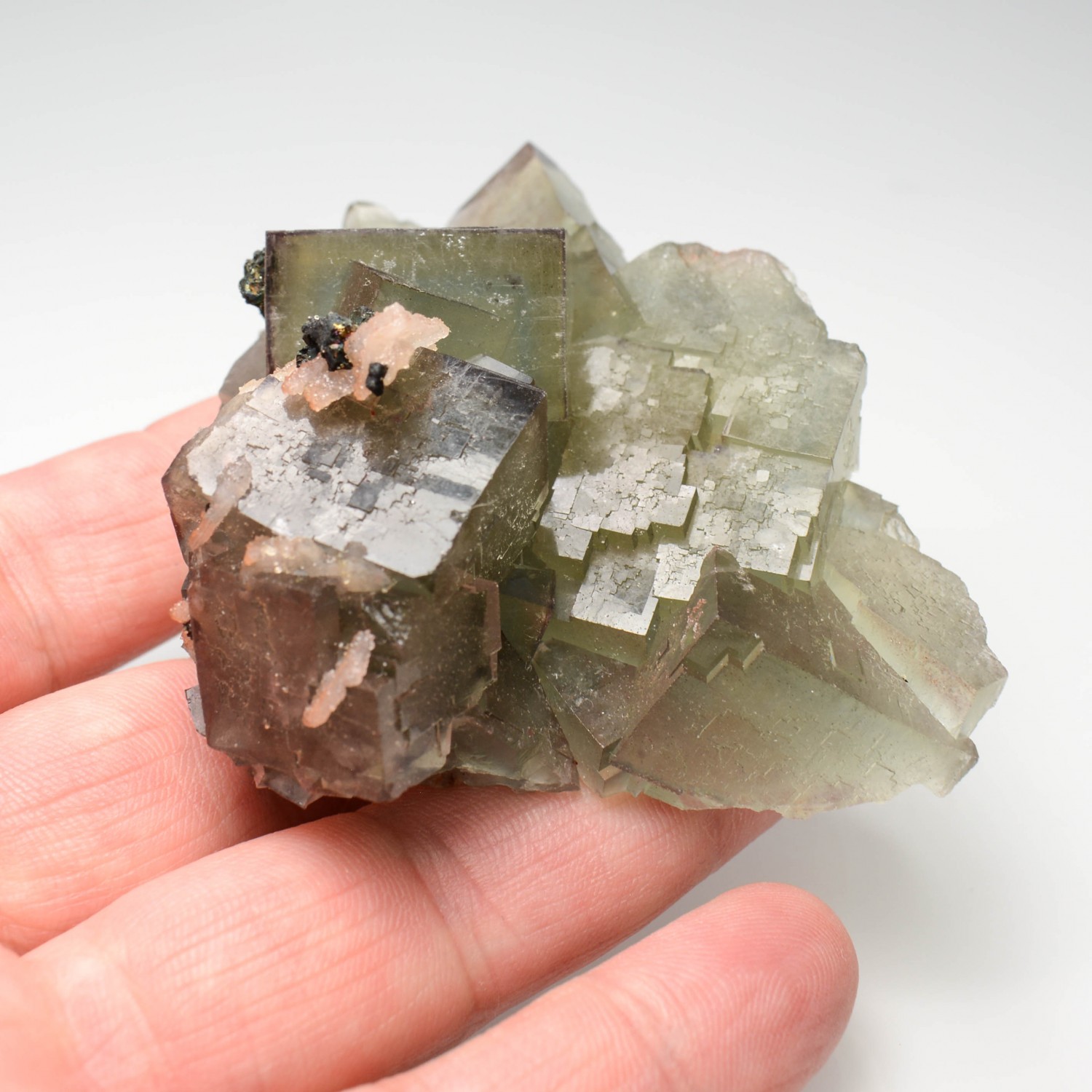 Fluorite - Niederschlag mine, Niederschlag, Saxony, Germany