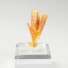 Gypsum - Pernatty Lagoon, Adelaide, South Australia, Australia
