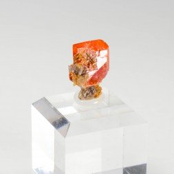 Wulfénite - Mine Red Cloud, La Paz, Arizona, Etats-Unis