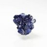 Azurite - Mine Poteryaevskoe, Altaï, Russie