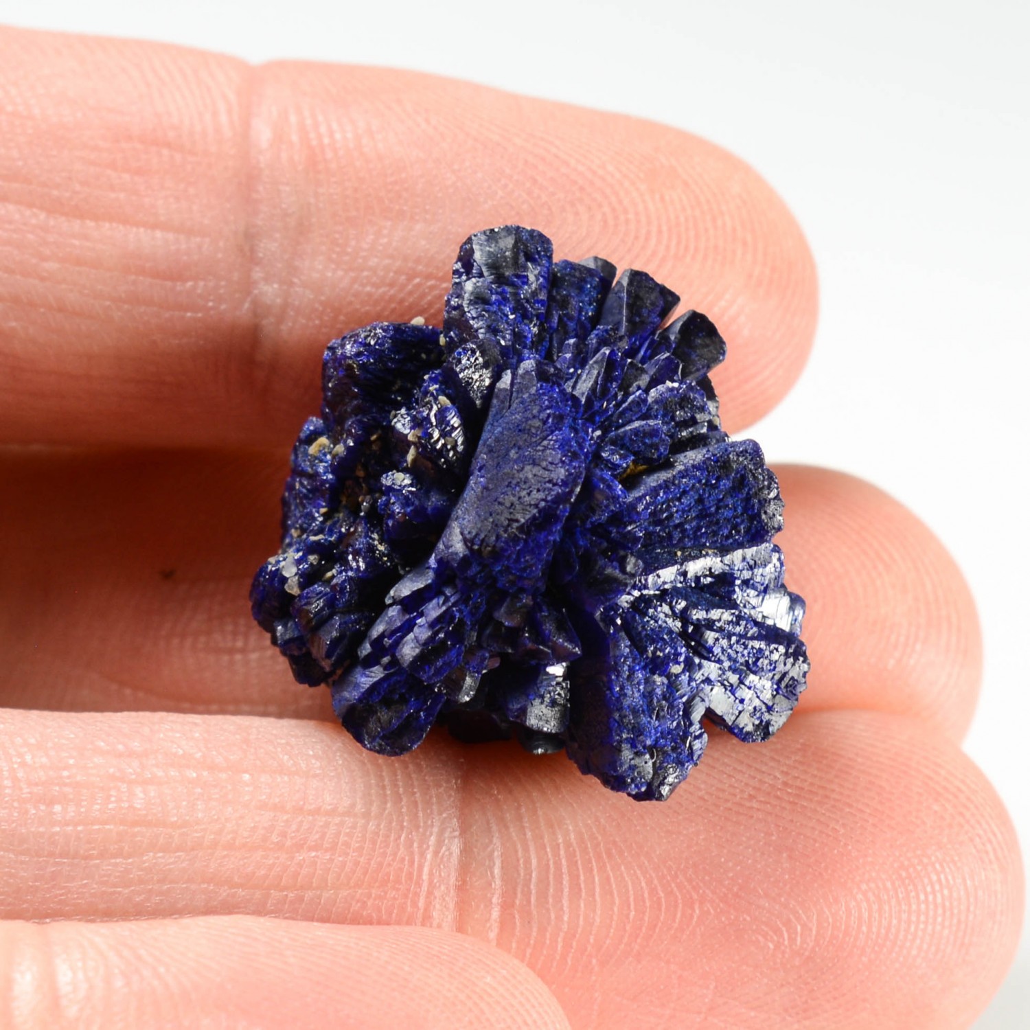 Azurite - Poteryaevskoe mine, Altai, Russia