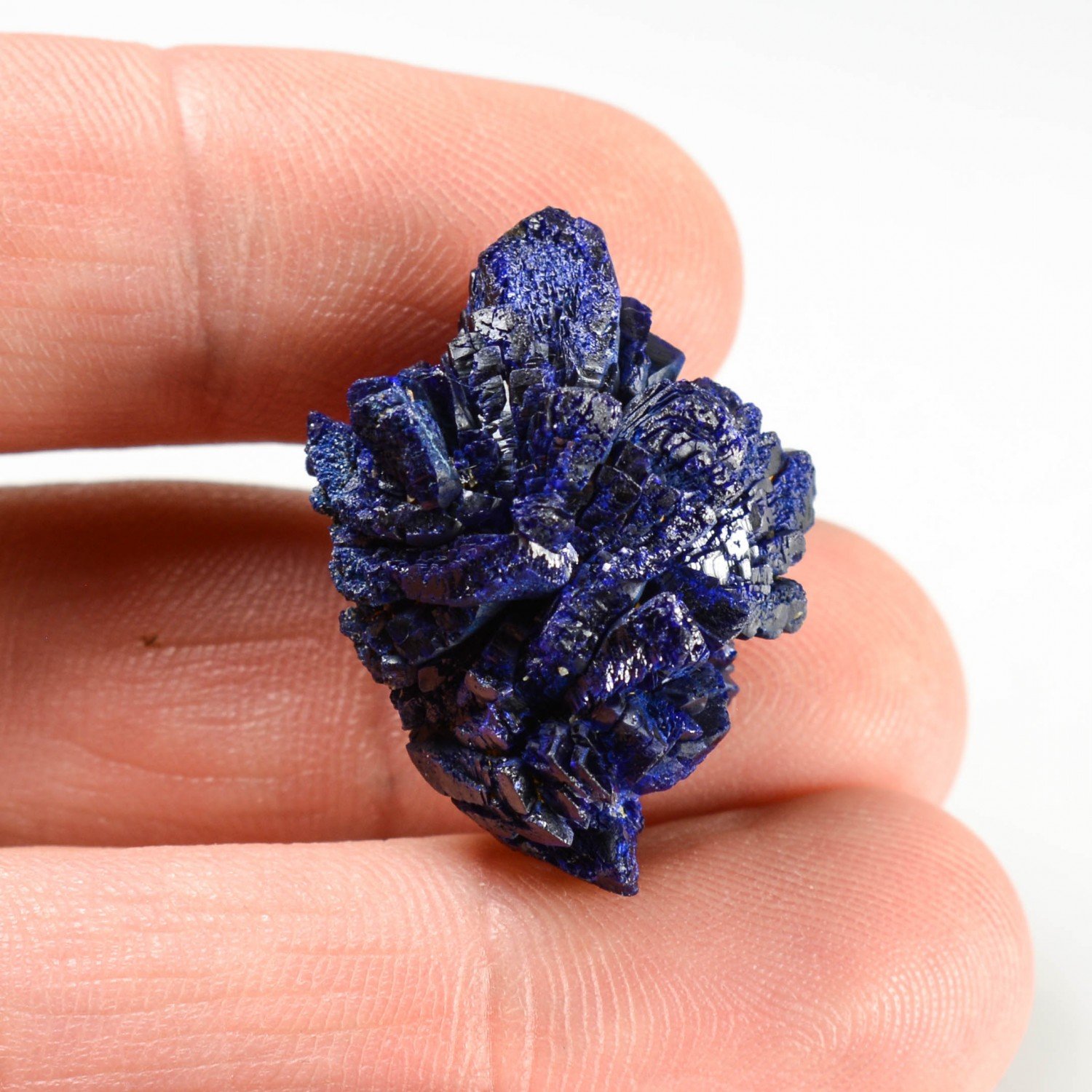Azurite - Mine Poteryaevskoe, Altaï, Russie