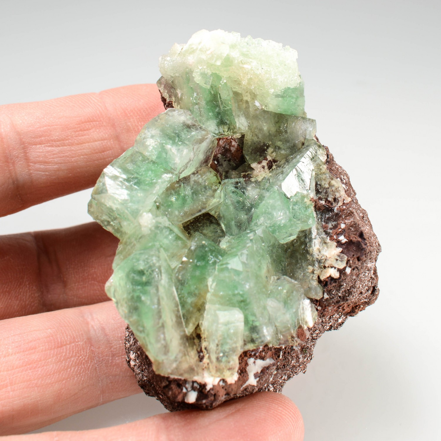 Apophyllite - District de Nashik, Maharashtra, Inde