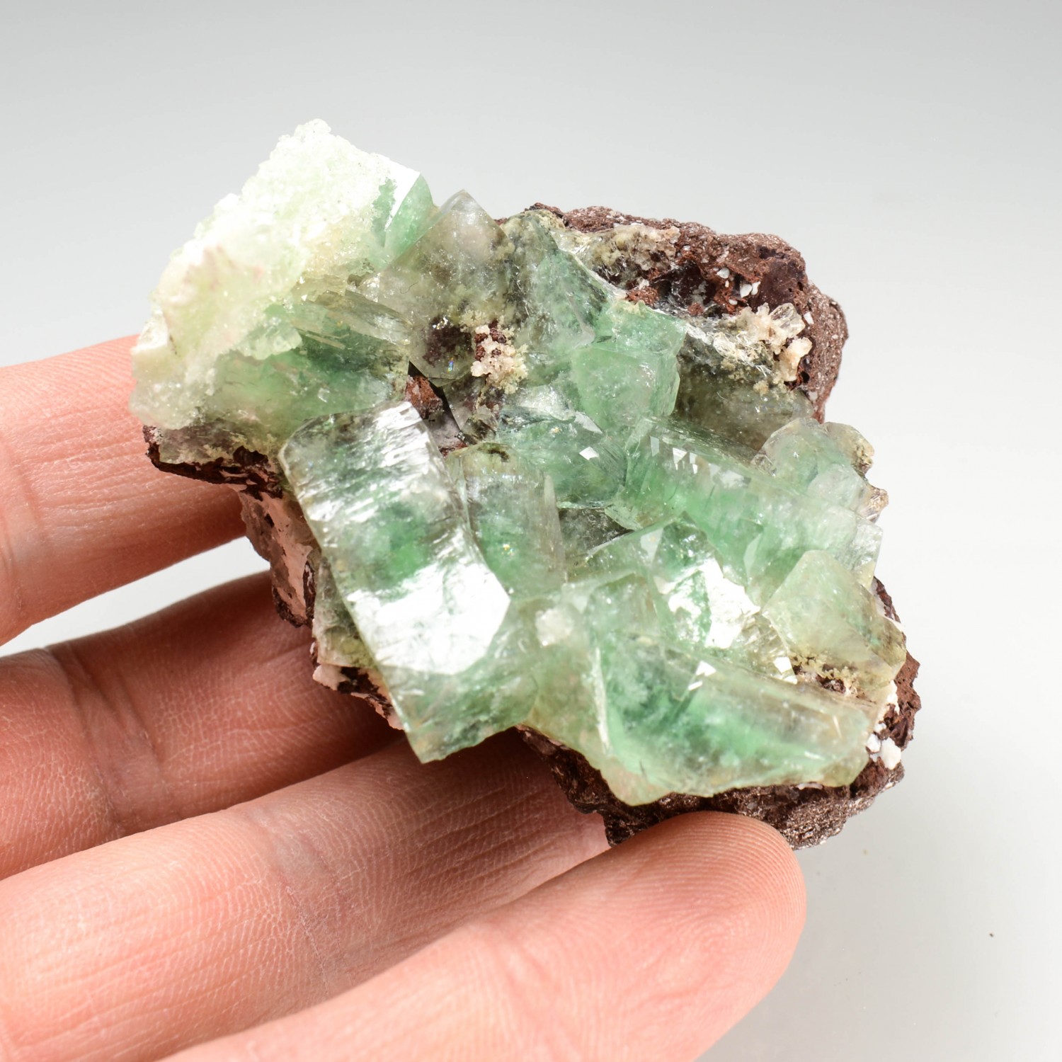 Apophyllite - District de Nashik, Maharashtra, Inde