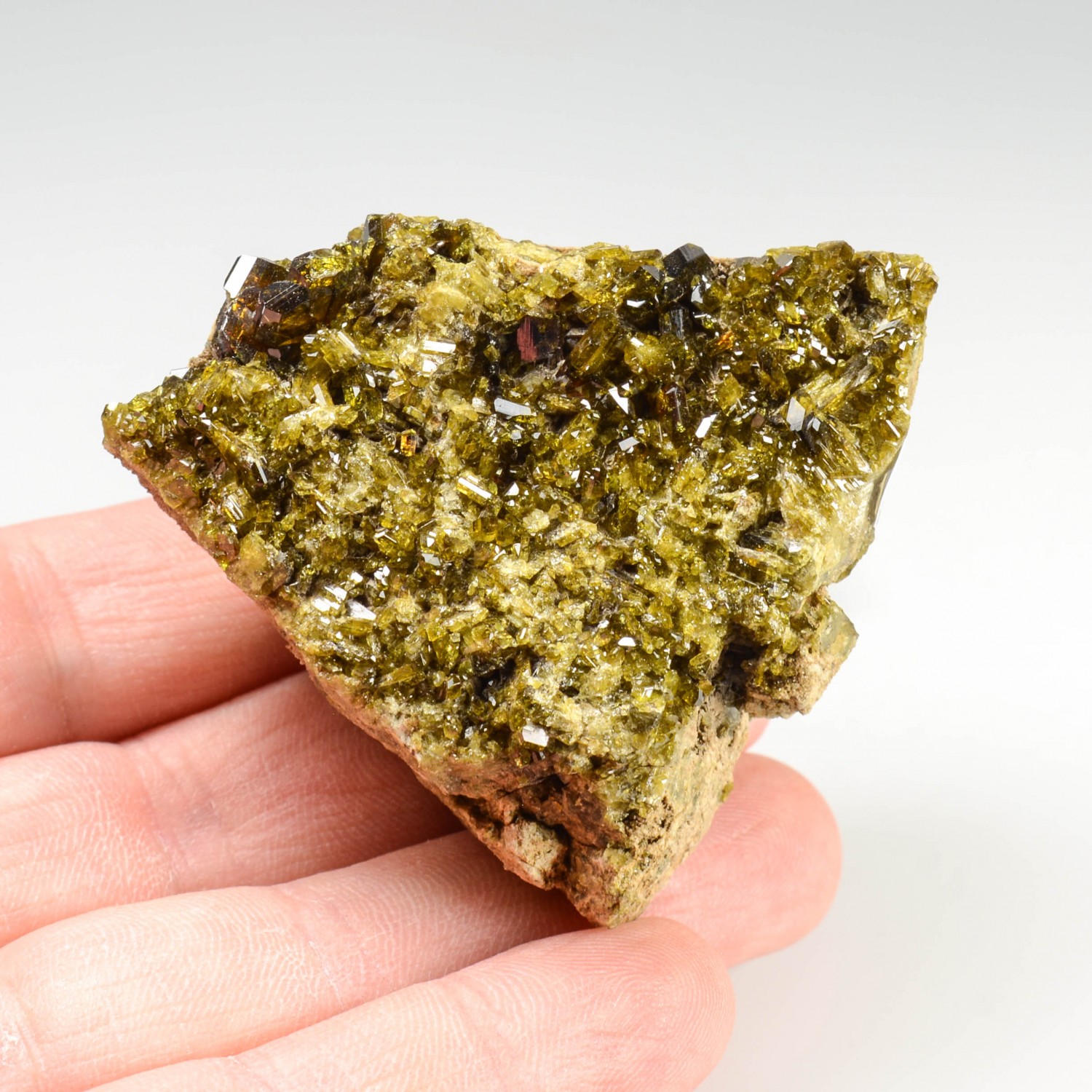 Epidote - Rodingites italiennes, Piémont/Vallée d'Aoste, Italie