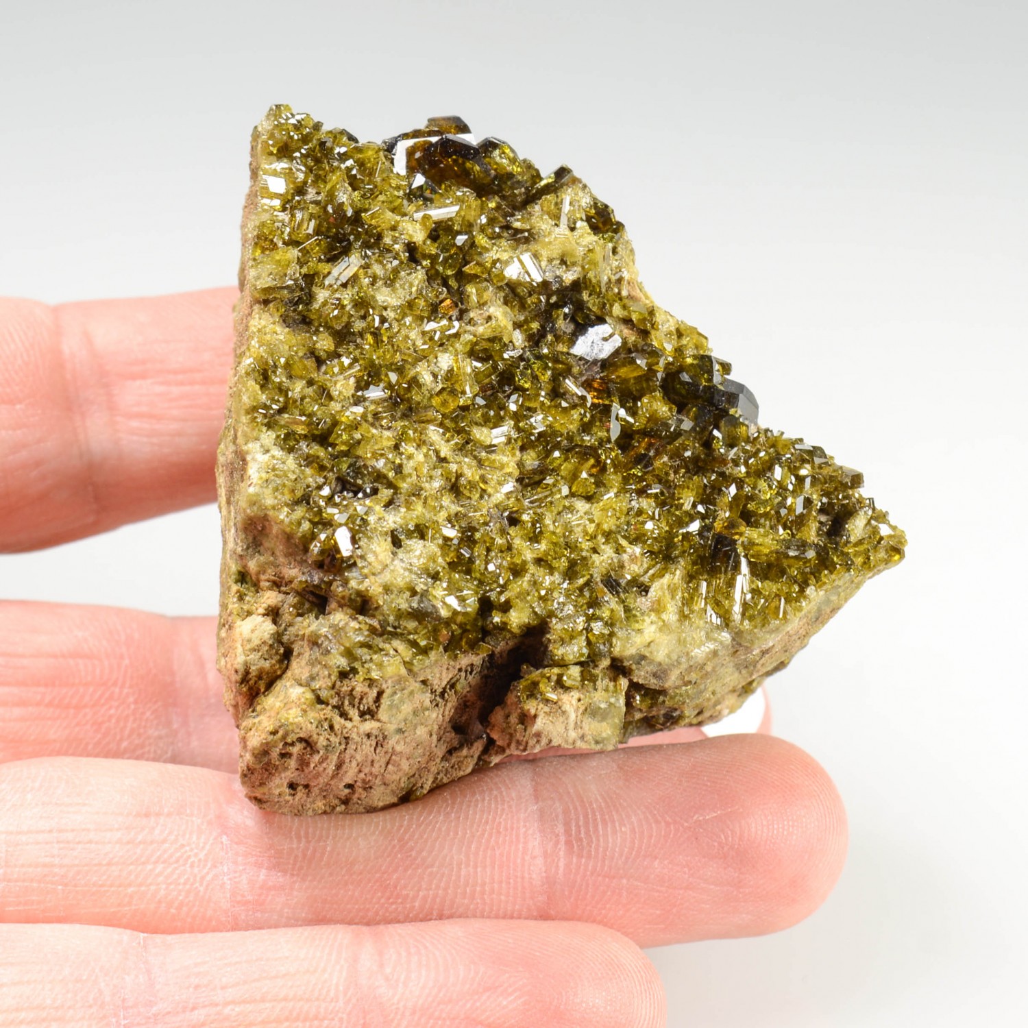 Epidote - Italian Rodingites, Piedmont/Aosta Valley, Italy