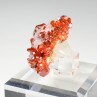 Vanadinite and gypsum - Mibladen mining district, Morocco