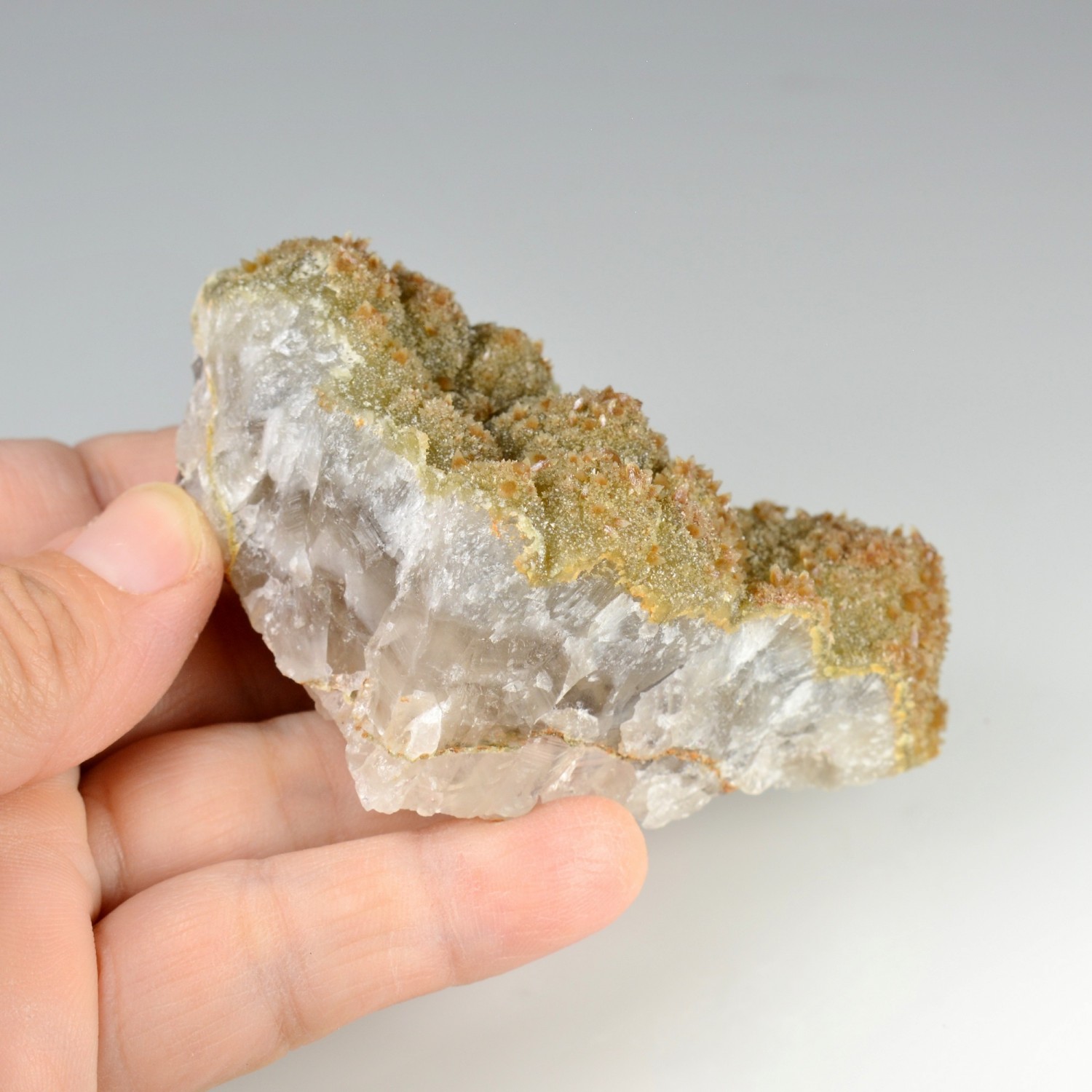 Calcite on sphärosiderite - Laguépie, Tarn-et-Garonne, France