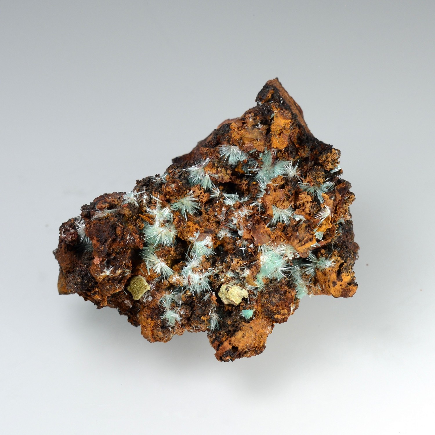 Aurichalcite sur limonite - Mine Ojuela, Mapimi, Durango, Mexique