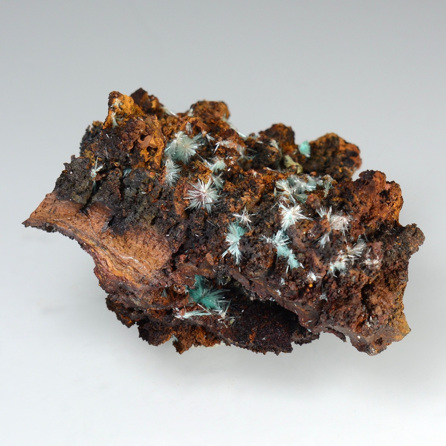 Aurichalcite on limonite - Ojuela mine, Mapimi, Durango, Mexico