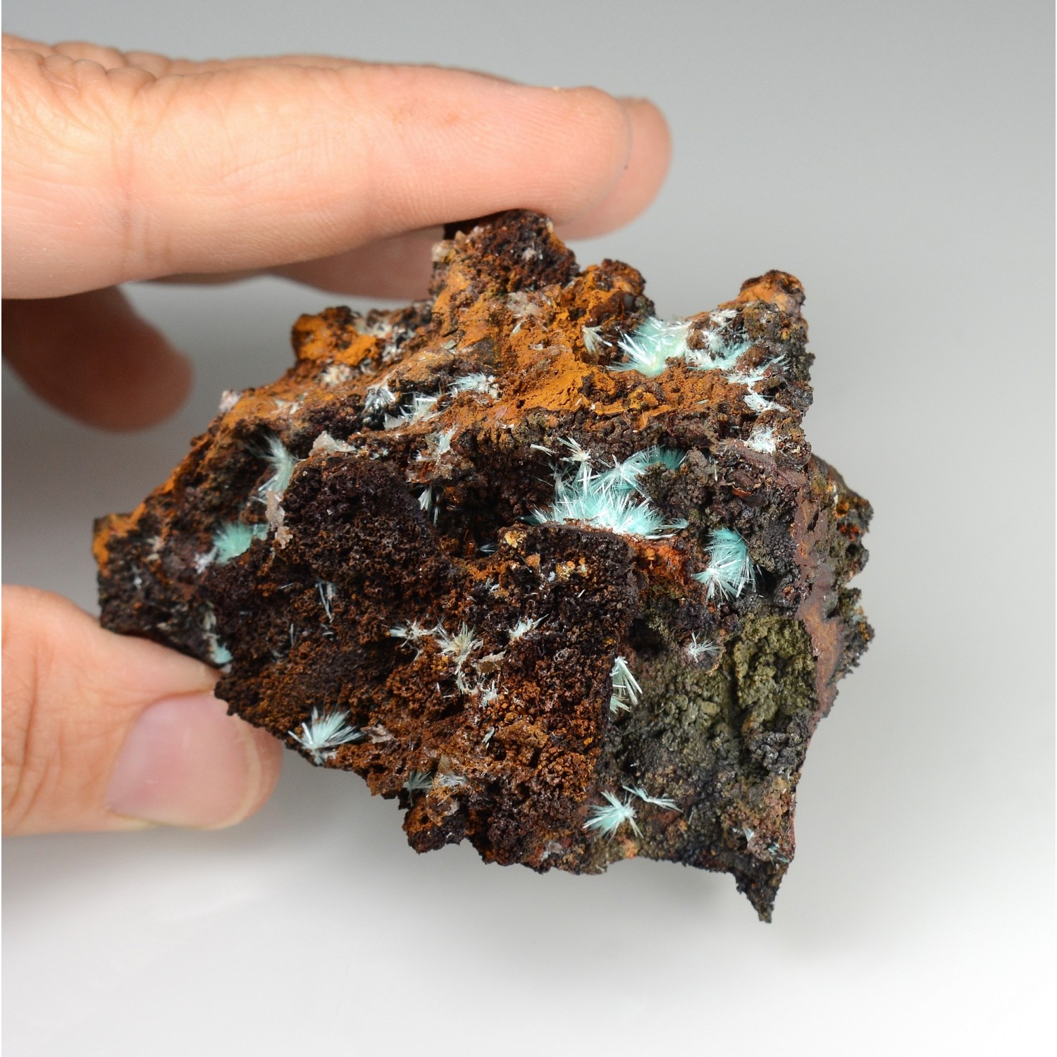 Aurichalcite sur limonite - Mine Ojuela, Mapimi, Durango, Mexique