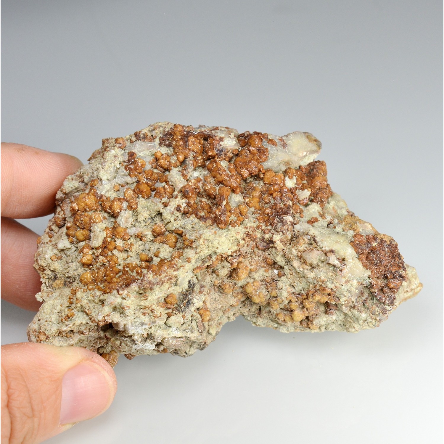 Sphärosiderite - Laguépie, Tarn-et-Garonne, France