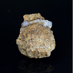 Lussatite - Dallet, Puy-de-Dôme, France