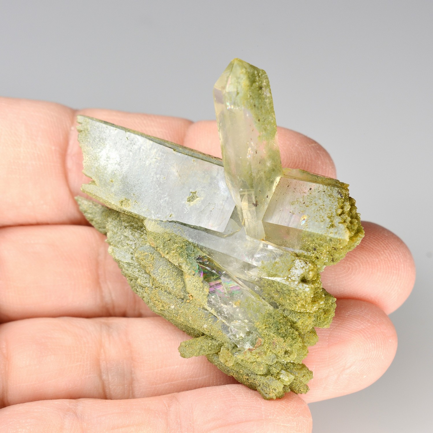 Chlorite quartz - L'Alpe d'Huez, Isère, France.