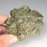 Pyrite - Saint-Denis-d'Orques, Sarthe, France.