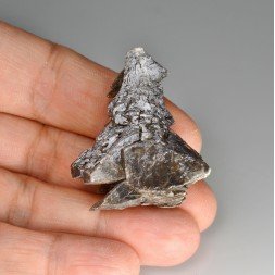 Gypse " sapin " - Albas, Aude, France