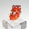 Vanadinite sur barytine - District minier de Mibladen, Maroc