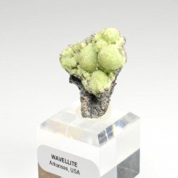 Wavellite - Mauldin, Arkansas, Etats-Unis