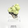 Wavellite - Mauldin, Arkansas, USA