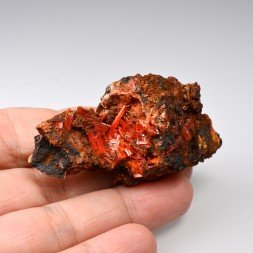 Crocoïte - Red Lead Mine, Tasmania, Australia.