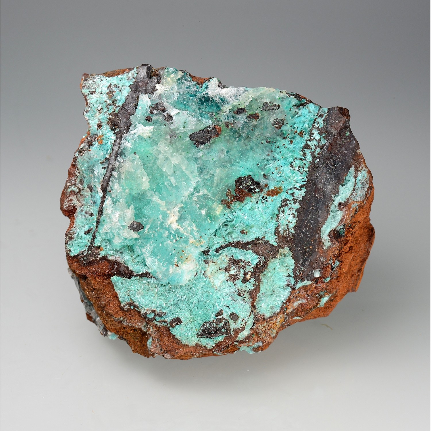 Aurichalcite et calcite sur limonite - Mine Ojuela, Mapimi, Durango, Mexique