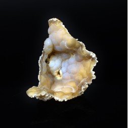 Chalcedony - Charroux, Vienne, France