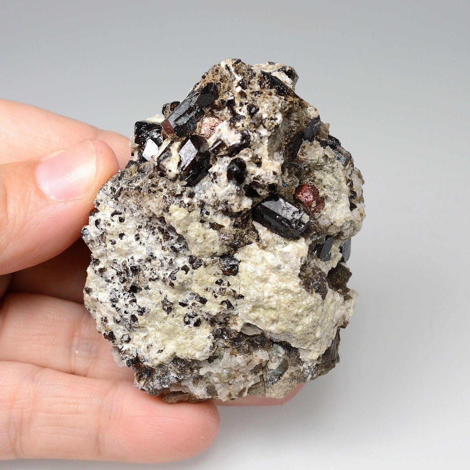 Dravite et pyrite irisée - Arignac, Ariège, France