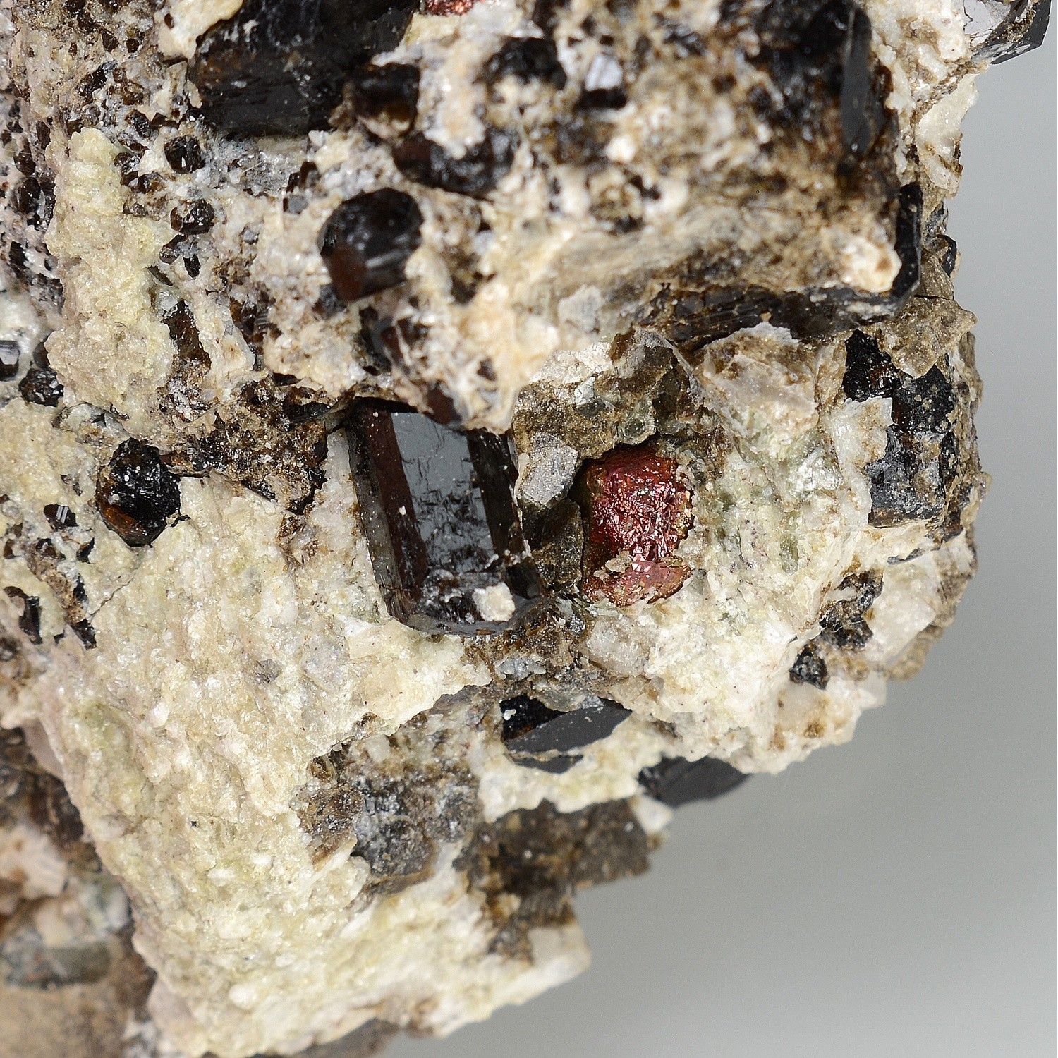 Dravite and iridescent pyrite - Arignac, Ariège, France