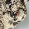 Dravite and iridescent pyrite - Arignac, Ariège, France