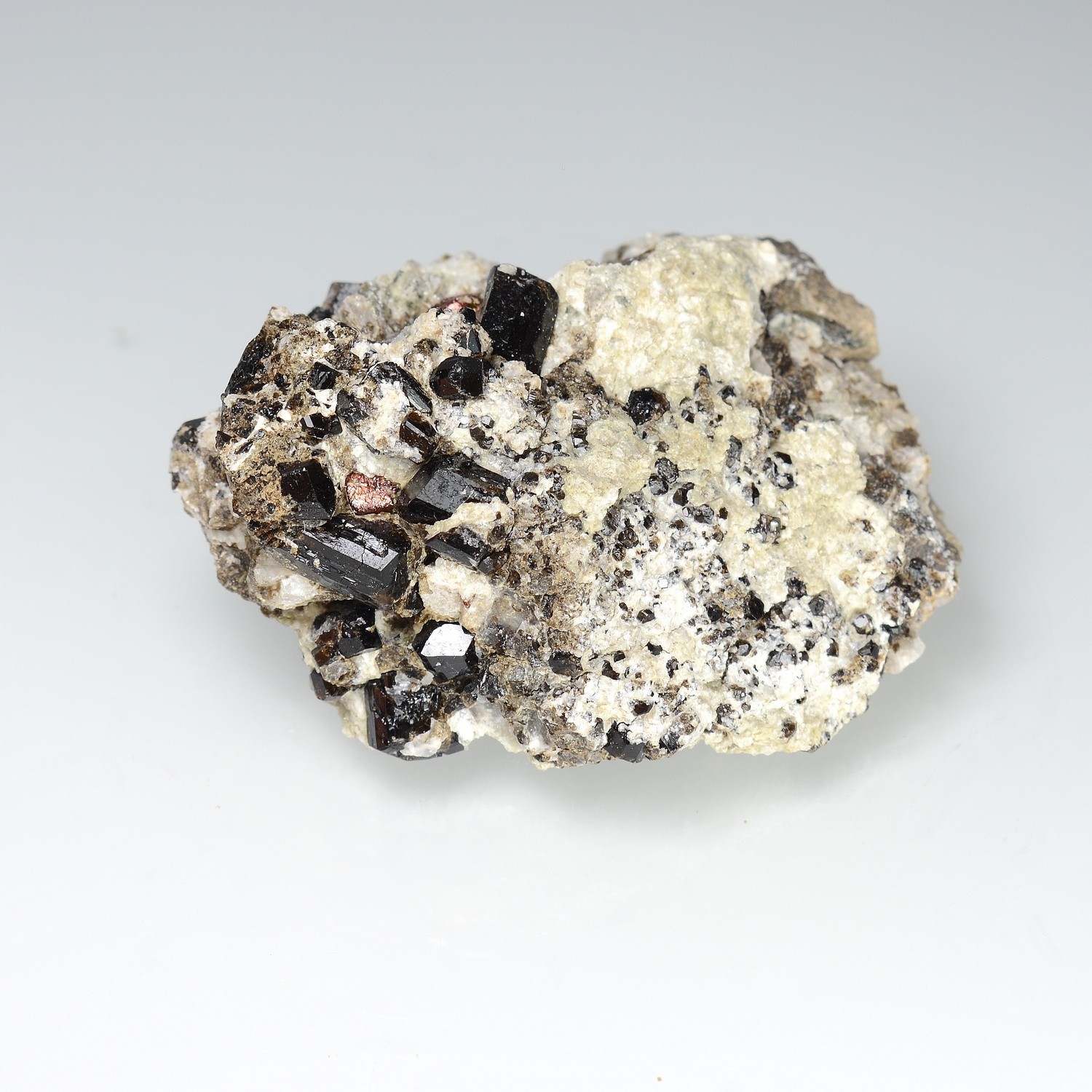 Dravite and iridescent pyrite - Arignac, Ariège, France