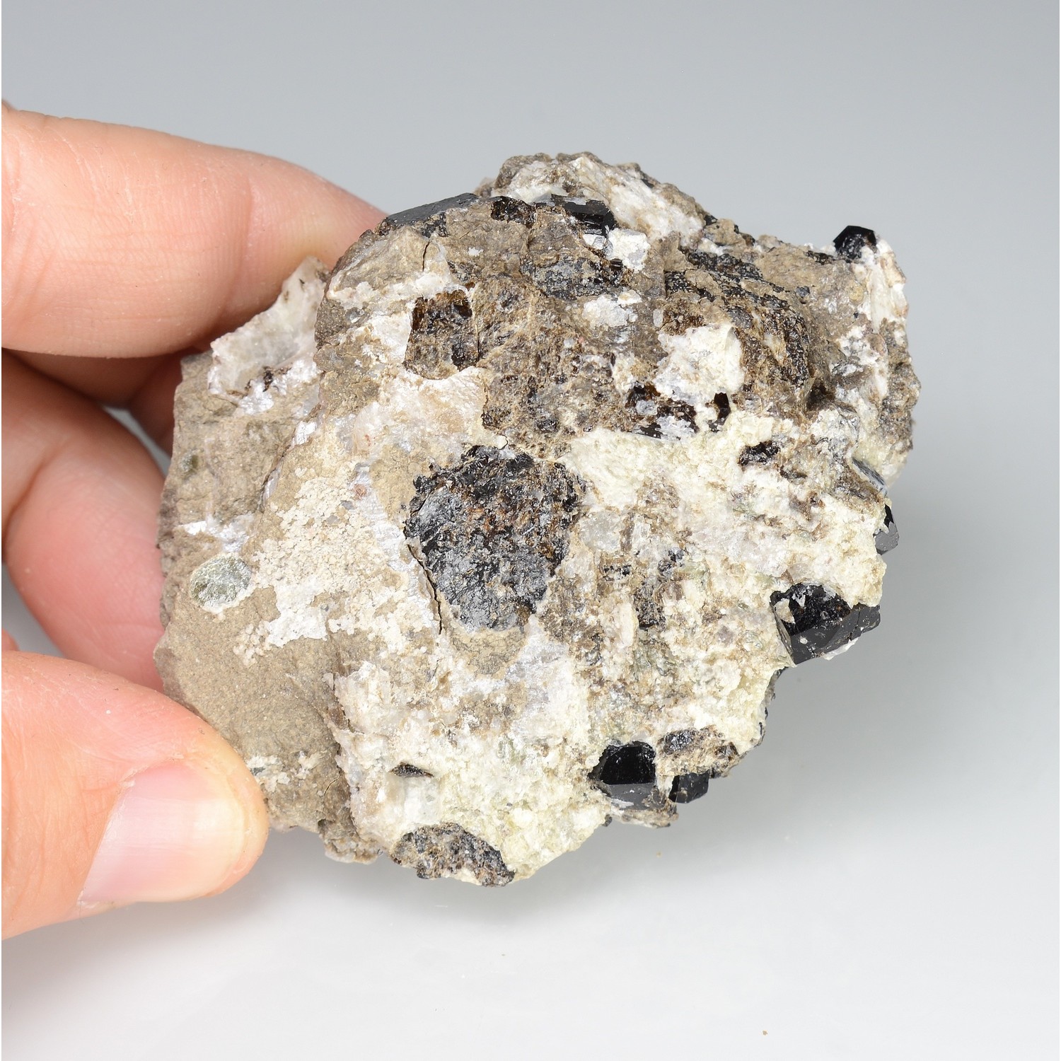 Dravite et pyrite irisée - Arignac, Ariège, France