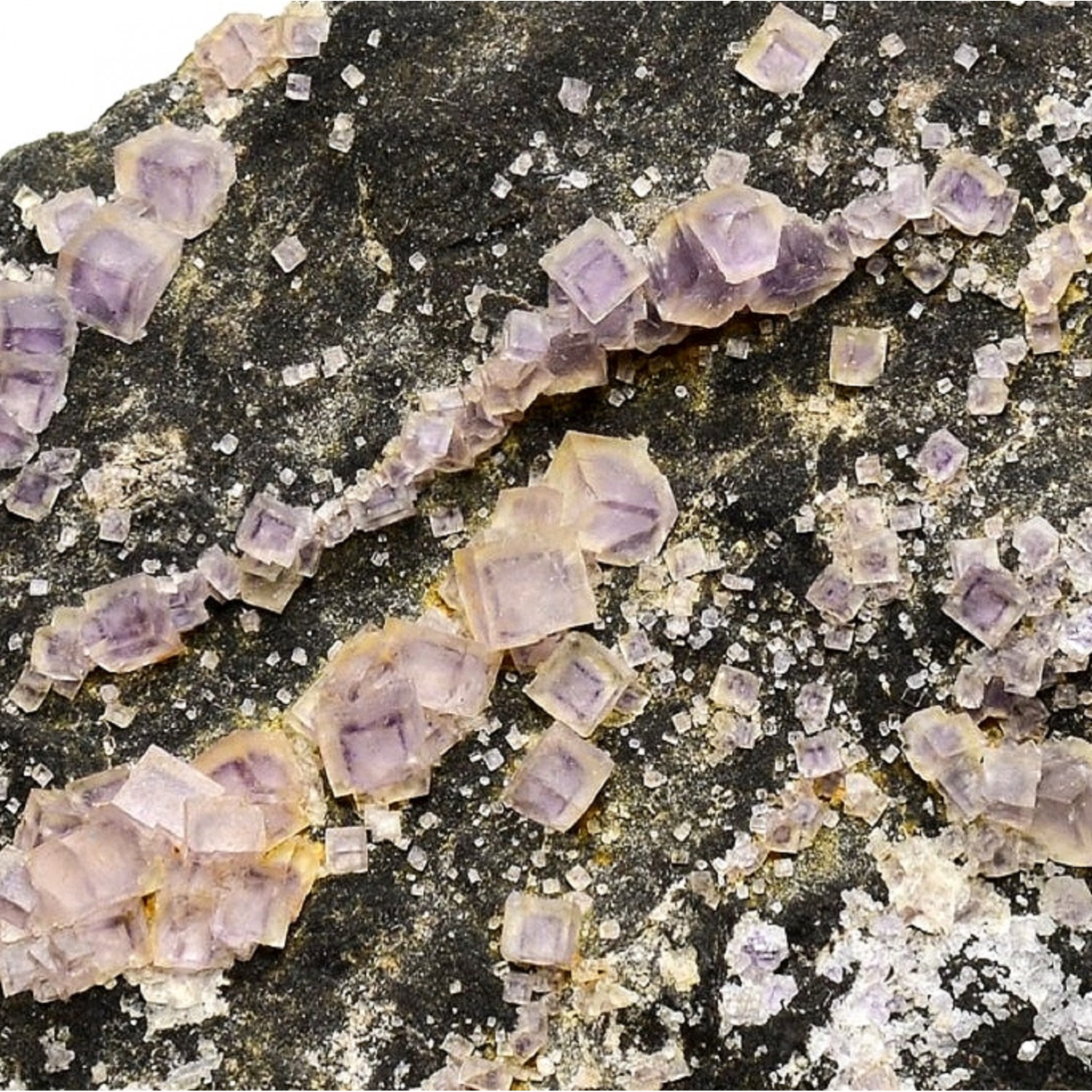 Fluorine - Arbouet, Pyrénées-Atlantiques, France