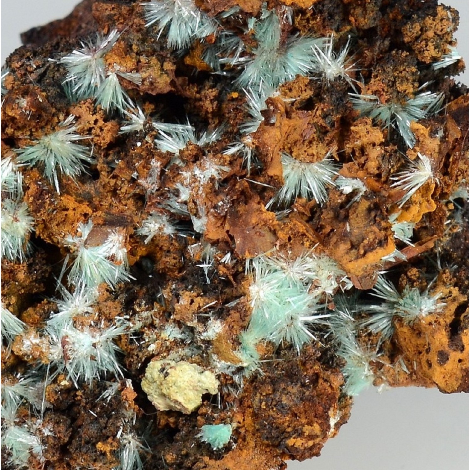 Aurichalcite sur limonite - Mine Ojuela, Mapimi, Durango, Mexique