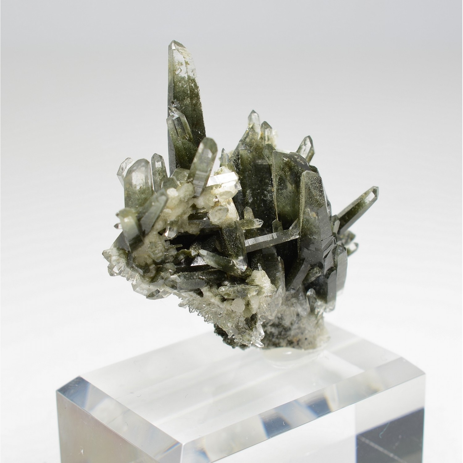 Quartz chloriteux - Ganesh Himal, Népal