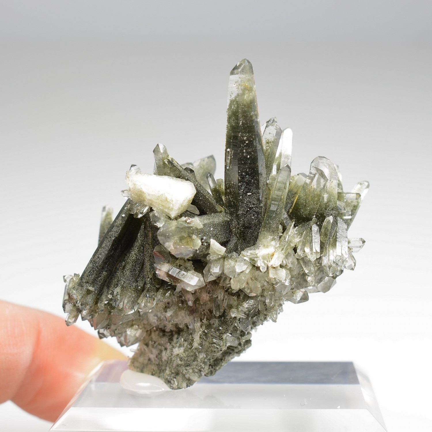 Chlorite quartz - Ganesh Himal, Nepal