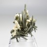 Chlorite quartz - Ganesh Himal, Nepal